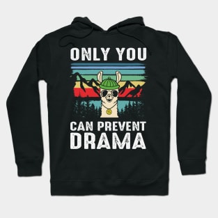 Only You Can Prevent Drama Hoodie